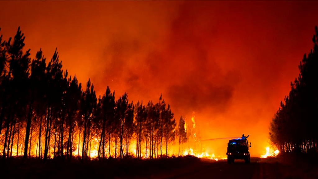 5 Kebakaran Hutan Terbesar Sepanjang Sejarah di Dunia